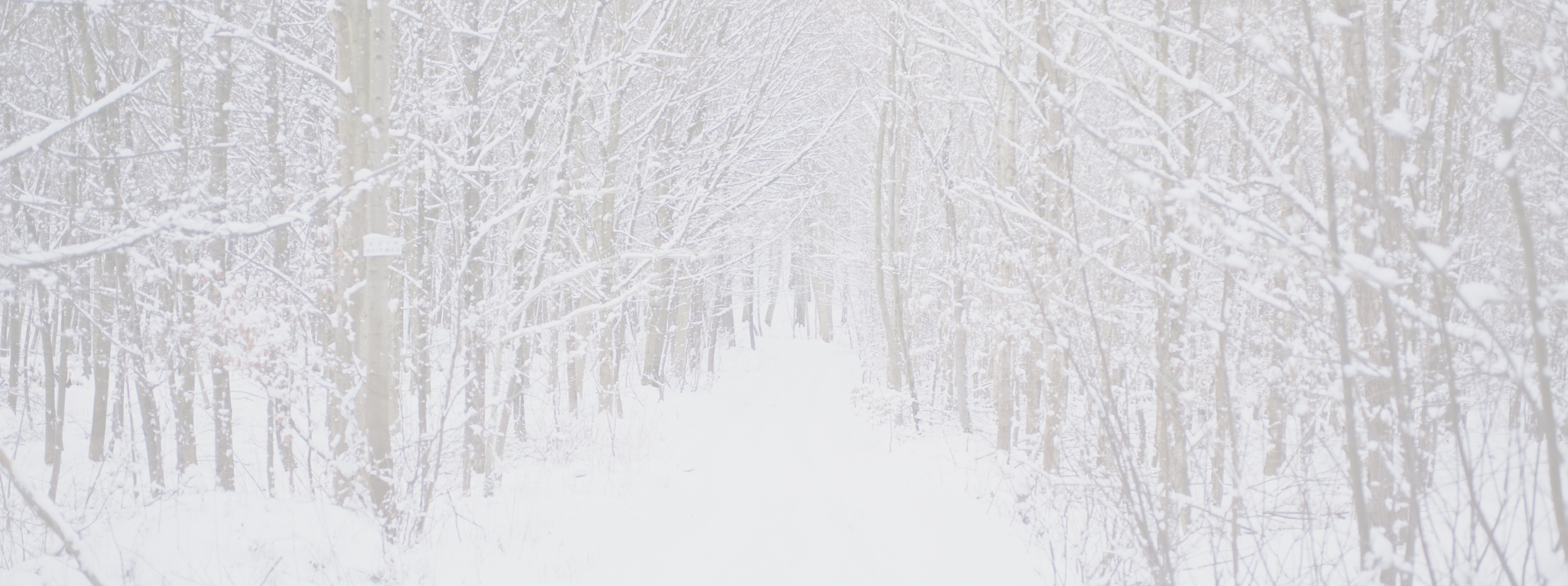 January Pathway Classes