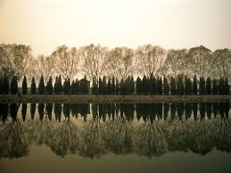 Recent Reflections